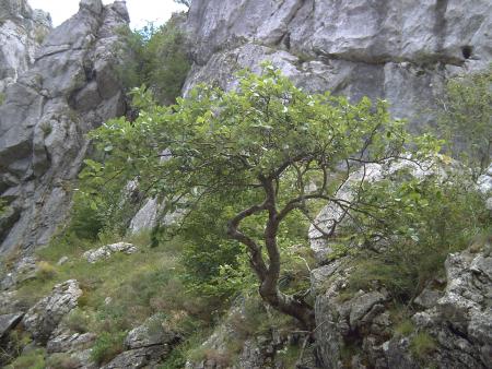 Despedida & Curueño.